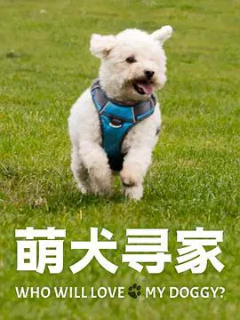 【记录片】萌犬寻家
