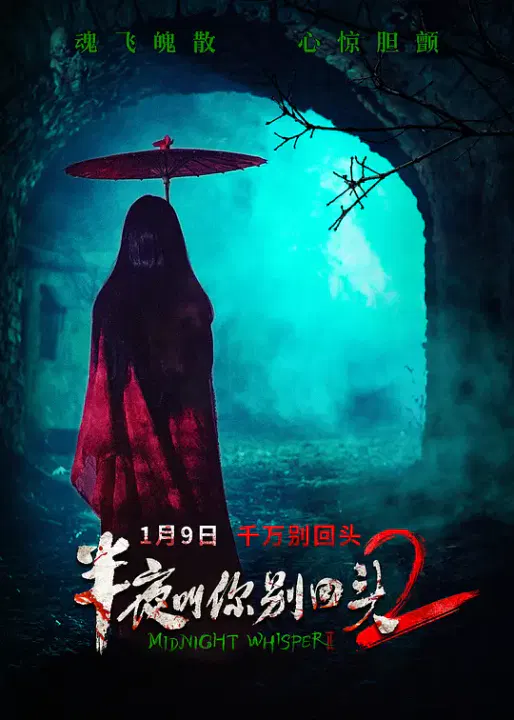 【惊悚片】半夜叫你别回头2